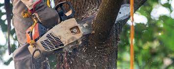 Soil Testing and Treatment in Paterson, NJ
